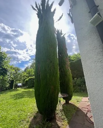 Dimora Alle Vigne בקתה