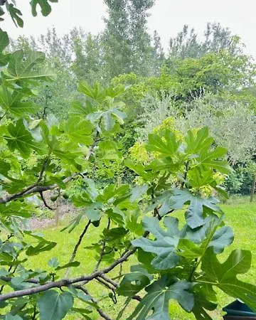 Alpstuga Dimora Alle Vigne *