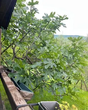 Dimora Alle Vigne Cappella Maggiore