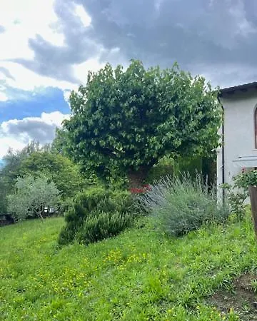 בקתה Dimora Alle Vigne *