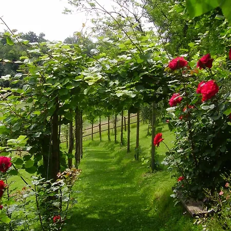 Dimora Alle Vigne Cappella Maggiore